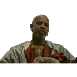 Denzel Washington Gladiator 2 Outfits
