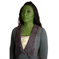 Wicked Movie Elphaba  Purple Embroidered Costume