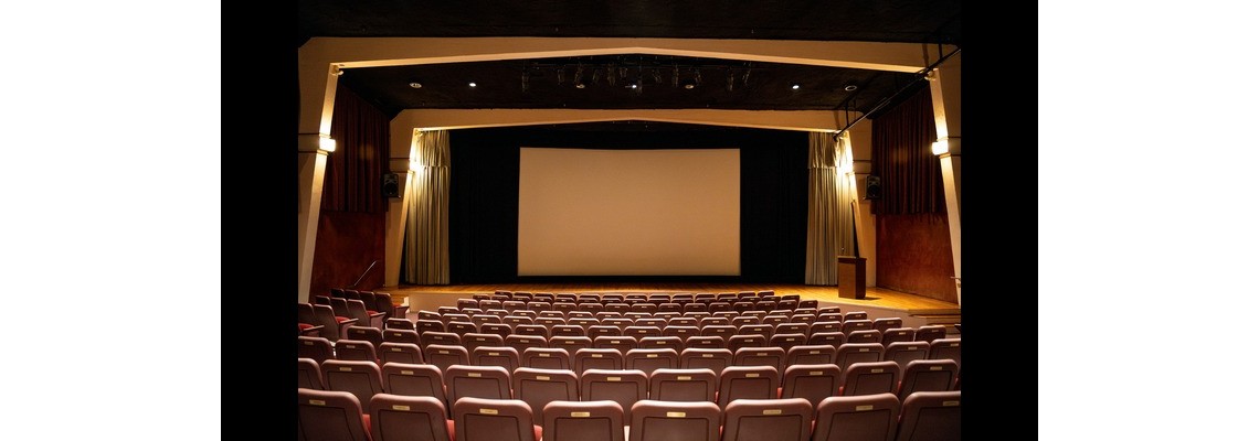 Cinema Paradise The Ultimate Movie Experience at Fox Lake Movie Theater