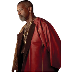 Gladiator 2 Denzel Washington Costume
