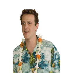 Jason Segel Forgetting Sarah Marshall Shirt 