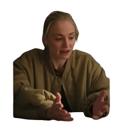 Steal Sophie Turner Bomer Jacket