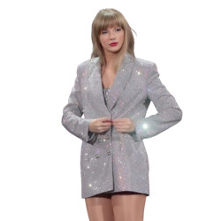 Taylor Swift Silver Sequin Blazer