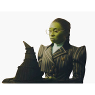 Wicked Elphaba Pinstripe Costume 