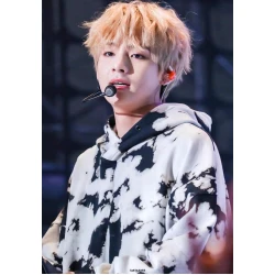 BTS Taehyung Black And White Pattern Hoodie