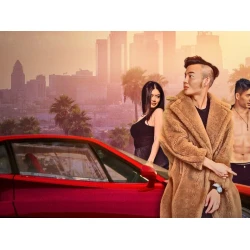 Bling Empire Brown Coat