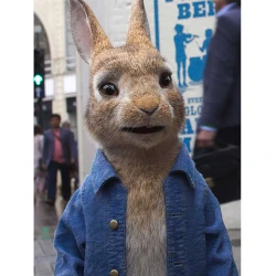 Peter Rabbit 2 The Runaway Denim Blue Jacket