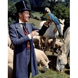 Dr John Dolittle Grey Wool Coat