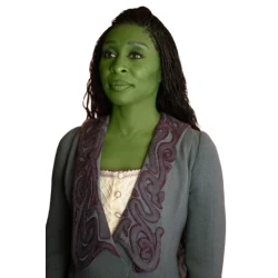 Wicked Movie Elphaba  Purple Embroidered Costume