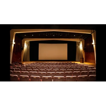 Cinema Paradise The Ultimate Movie Experience at Fox Lake Movie Theater