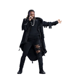 Jason Derulo Black Hooded Long Coat 