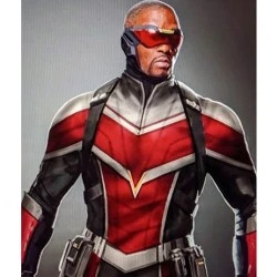 The Falcon and The Winter Soldier Sam Wilson Jacket