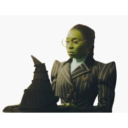 Wicked Elphaba Pinstripe Costume 