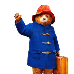 Paddington in Peru 2024 Blue Jacket