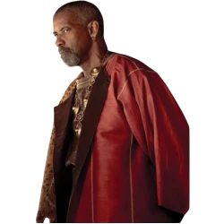 Gladiator 2 Denzel Washington Costume