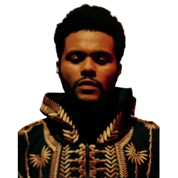 Hurry Up Tomorrow The Weeknd Golden Embroidered Hooded Coat
