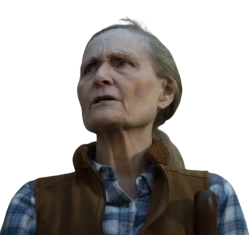 The Bondsman Beth Grant Brown Vest