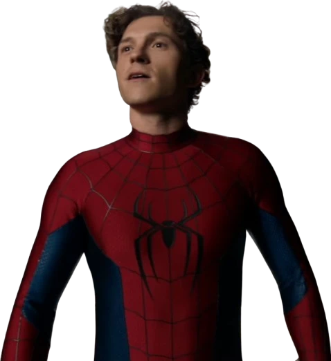 Spiderman Brand New Day Tom Holland Costume