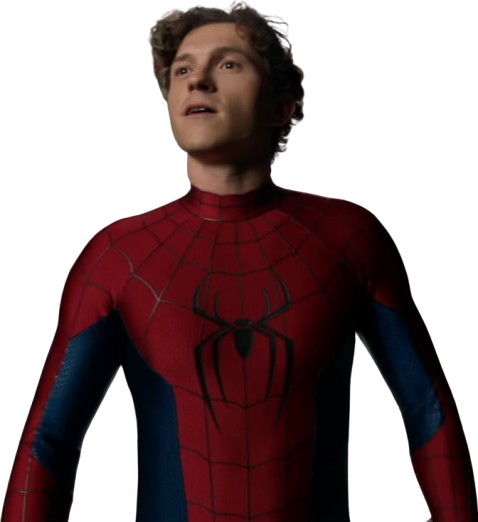 Spiderman Brand New Day Tom Holland Costume